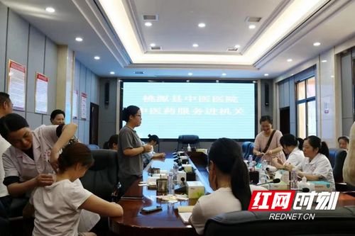 桃源杏林传馨香 县中医医院“中医药服务月”活动惠及城乡